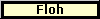 Floh